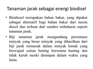 Energi dalam-biologi Slide 14