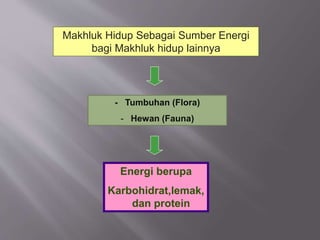 Energi dalam-biologi Slide 3