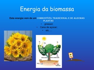 Energia da biomassa Esta energia vem de um  combustível tradicional e de algumas plantas : girassol; Cana de açúcar; etc.… 
