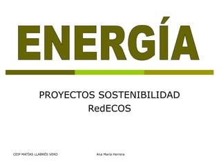 PROYECTOS SOSTENIBILIDAD RedECOS ENERGÍA 