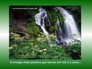 www.planetapowerpoint.com.br
Tudo sobre a vida
Forêt nationale Umpqua , Oregon, USA
A energia mais positiva que temos em nós é o amor...
 