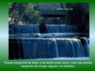 www.planetapowerpoint.com.br
Tudo sobre a vida
Parc Lithia, Orégon, USA
Temos vergonha de dizer e de sentir esse amor, mas não temos
vergonha de xingar alguém no trânsito.
 