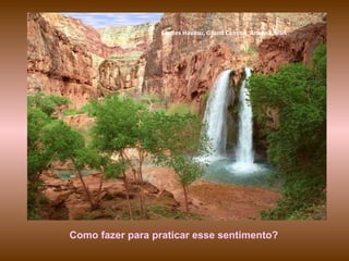 Chutes Havasu, Grand Canyon, Arizona, USA Como fazer para praticar esse sentimento? 