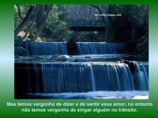 Parc Lithia, Orégon, USA Mas temos vergonha de dizer e de sentir esse amor, no entanto não temos vergonha de xingar alguém no trânsito. 