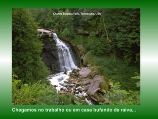 Chutes Burgess Falls, Tennessee, USA Chegamos no trabalho ou em casa bufando de raiva...  