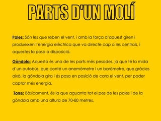PARTS D'UN MOLÍ Pales:  Són les que reben el vent, i amb la força d’aquest giren i produeixen l’energia elèctrica que va directe cap a les centrals, i aquestes la posa a disposició.  Gòndola:  Aquesta és una de les parts més pesades, ja que té la mida d’un autobús, que conté un anemòmetre i un baròmetre, que gràcies això, la gòndola gira i és posa en posició de cara el vent, per poder captar més energia. Torre:  Bàsicament, és la que aguanta tot el pes de les pales i de la gòndola amb una altura de 70-80 metres,  