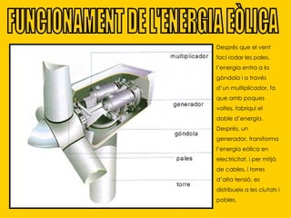 FUNCIONAMENT DE L'ENERGIA EÒLICA Després que el vent faci rodar les pales,  l’energia entra a la gòndola i a través d’un multiplicador, fa que amb poques voltes, fabriqui el doble d’energia. Després, un generador, transforma l’energia eòlica en electricitat, i per mitjà de cables, i torres d’alta tensió, es distribueix a les ciutats i pobles. 