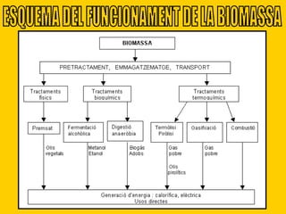 ESQUEMA DEL FUNCIONAMENT DE LA BIOMASSA 