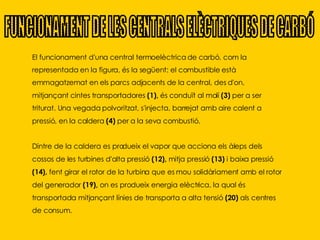 El funcionament d'una central termoelèctrica de carbó, com la representada en la figura, és la següent: el combustible està emmagatzemat en els parcs adjacents de la central, des d'on, mitjançant cintes transportadores  (1),  és conduït al molí  (3)  per a ser triturat. Una vegada polvoritzat, s'injecta, barrejat amb aire calent a pressió, en la caldera  (4)  per a la seva combustió.  Dintre de la caldera es produeix el vapor que acciona els àleps dels cossos de les turbines d'alta pressió  (12),  mitja pressió  (13)  i baixa pressió  (14),  fent girar el rotor de la turbina que es mou solidàriament amb el rotor del generador  (19),  on es produeix energia elèctrica, la qual és transportada mitjançant línies de transporta a alta tensió  (20)  als centres de consum. FUNCIONAMENT DE LES CENTRALS ELÈCTRIQUES DE CARBÓ 