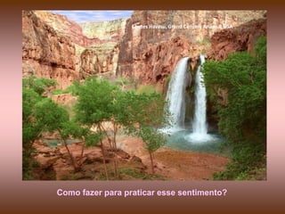 Chutes Havasu, Grand Canyon, Arizona, USA

Como fazer para praticar esse sentimento?

 