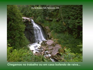 Chutes Burgess Falls, Tennessee, USA

Chegamos no trabalho ou em casa bufando de raiva...

 