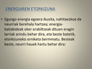 • Egungo energia egoera ikusita, nahitaezkoa da
neurriak berehala hartzea; energia-
baliabideak oker erabiltzeak dituen eragin
larriak arindu behar dira, eta beste batetik,
etorkizuneko orniketa bermmatu. Besteak
beste, neurri hauek hartu behar dira:
 