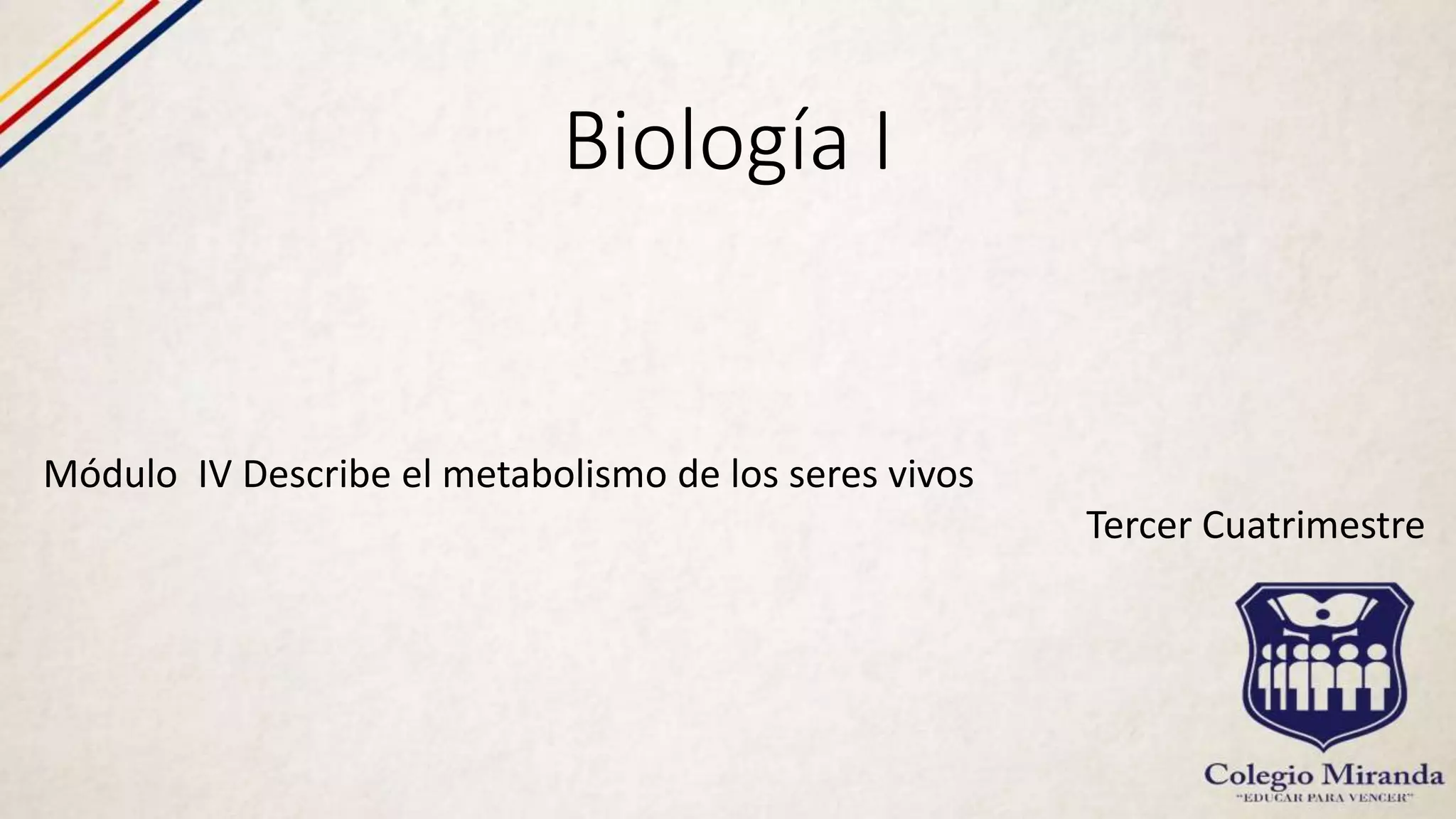 metabolismo de los seres vivos | PPTX