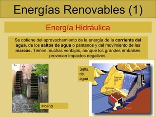 Energías Renovables (1)
Energía Hidráulica
Se obtiene del aprovechamiento de la energía de la corriente del
agua, de los saltos de agua o pantanos y del movimiento de las
mareas. Tienen muchas ventajas, aunque los grandes embalses
provocan impactos negativos.
Salta
de
agua
Molino
 
