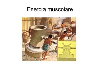 Energia muscolare
 