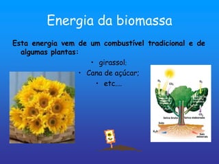 Energia da biomassa
Esta energia vem de um combustível tradicional e de
  algumas plantas:
                     • girassol;
                  • Cana de açúcar;
                      • etc.…
 