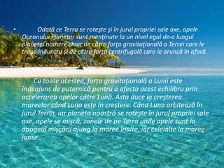 • Odată ce Terra se roteşte şi în jurul propriei sale axe, apele
Oceanului Planetar sunt menţinute la un nivel egal de-a lungul
planetei noastre chiar de către forţa gravitaţională a Terrei care le
trage înăuntru şi de către forţa centrifugală care le aruncă în afară.
Cu toate acestea, forţa gravitaţională a Lunii este
îndeajuns de puternică pentru a afecta acest echilibru prin
accelerarea apelor către Lună. Asta duce la creşterea
mareelor când Luna este în creştere. Când Luna orbitează în
jurul Terrei, iar planeta noastră se roteşte în jurul propriei sale
axe, apele se mişcă, zonele de pe Terra unde apele sunt la
apogeul mişcării ajung la maree înalte, iar celelalte la maree
joase.
 