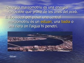 L’energia mareomotriu es una energia renovable que prove de les ones del oceà. El lloc  ideal per posar una central mareomotriu és un  estuari , una  badia  o una riera on l'aigua hi penetri. Estuari 