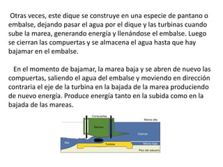 Otras veces, este dique se construye en una especie de pantano o
embalse, dejando pasar el agua por el dique y las turbinas cuando
sube la marea, generando energía y llenándose el embalse. Luego
se cierran las compuertas y se almacena el agua hasta que hay
bajamar en el embalse.
En el momento de bajamar, la marea baja y se abren de nuevo las
compuertas, saliendo el agua del embalse y moviendo en dirección
contraria el eje de la turbina en la bajada de la marea produciendo
de nuevo energía. Produce energía tanto en la subida como en la
bajada de las mareas.