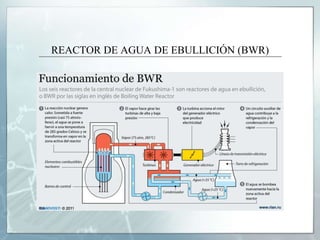 REACTOR DE AGUA DE EBULLICIÓN (BWR)
 