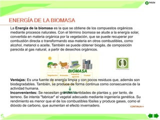 Inicio




La Energía de la biomasa es la que se obtiene de los compuestos orgánicos
mediante procesos naturales. Con el término biomasa se alude a la energía solar,
convertida en materia orgánica por la vegetación, que se puede recuperar por
combustión directa o transformando esa materia en otros combustibles, como
alcohol, metanol o aceite. También se puede obtener biogás, de composición
parecida al gas natural, a partir de desechos orgánicos.




                                     BIOMASA

Ventajas: Es una fuente de energía limpia y con pocos residuos que, además son
biodegradables. También, se produce de forma continua como consecuencia de la
actividad humana.
Inconvenientes: Se necesitan grandes cantidades de plantas y, por tanto, de
terreno. Se intenta "fabricar" el vegetal adecuado mediante ingeniería genética. Su
rendimiento es menor que el de los combustibles fósiles y produce gases, como el
dióxido de carbono, que aumentan el efecto invernadero.                      CONTINUA>>
 