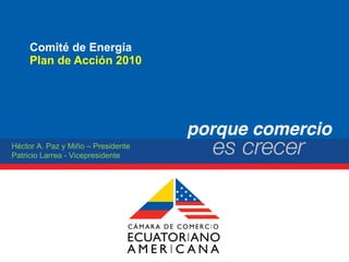 Comité de Energía Plan de Acción 2010 Héctor A. Paz y Miño – Presidente Patricio Larrea - Vicepresidente 