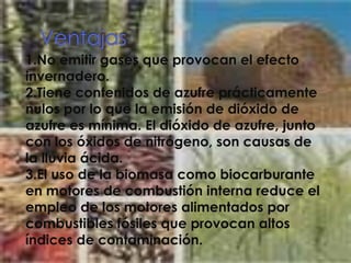 Ventajas1.No emitir gases que provocan el efecto invernadero.2.Tiene contenidos de azufre prácticamente nulos por lo que la emisión de dióxido de azufre es mínima. El dióxido de azufre, junto con los óxidos de nitrógeno, son causas de la lluvia ácida.3.El uso de la biomasa como biocarburante en motores de combustión interna reduce el empleo de los motores alimentados por combustibles fósiles que provocan altos índices de contaminación.