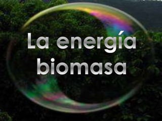 La energía biomasa,[object Object]