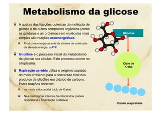 Metabolismo da glicose
  A quebra das ligações químicas da molécula de
glicose e de outros compostos orgânicos (como
as gorduras e as proteínas) em moléculas mais
simples são reações exoenergéticas.
  Produz-se energia através da síntese de moléculas
de elevada energia, o ATP.
  Glicólise é o processo inicial do metabolismo
da glicose nas células. Este processo ocorre no
citoplasma.
  Repiração aeróbia utiliza o oxigénio captado
do meio ambiente para a conversão total dos
produtos da glicólise em dióxido de carbono.
Estas reações ocorrem:
  na matriz mitocondrial (ciclo de Krebs)
  Nas membranas internas da mitocôndria (cadeia
respiratória e fosforilação oxidativa)
Ciclo de
Krebs
Glicólise
Cadeia respiratória
 