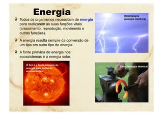 Energia
  Todos os organismos necessitam de energia
para realizarem as suas funções vitais
(crescimento, reprodução, movimento e
outras funções).
  A energia resulta sempre da conversão de
um tipo em outro tipo de energia.
  A fonte primária de energia nos
ecossistemas é a energia solar.
Calor (energia térmica)
Relâmpagos
(energia eléctrica)
O Sol é a fonte primária de
energia para todos os
ecossistemas
 