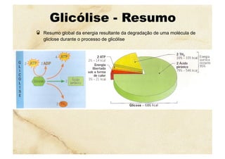 Glicólise - Resumo
  Resumo global da energia resultante da degradação de uma molécula de
gliclose durante o processo de glicólise
 