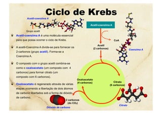 Acetil-coenzima A
CoA
Acetil
(2 carbonos)
Oxaloacetato
(4 carbonos) Citrato
(6 carbonos)
2 carbonos
(do CO2)
Ciclo de Krebs
  Acetil-coenzima A é uma molécula essencial
para que possa ocorrer o ciclo de Krebs.
  A acetil-Coenzima A divide-se para fornecer os
2-carbonos (grupo acetil). Forma-se a
Coenzima A.
  O composto com o grupo acetil combina-se
como o oxaloacetato (um composto com 4
carbonos) para formar citrato (um
composto com 6 carbonos).
  Oxaloacetato é regenerado através de várias
etapas ocorrendo a libertação de dois átomos
de carbono libertados sob a forma de dióxido
de carbono.
Coenzima A
Citrato
Dióxido de carbono
Acetil-coenzima A
Grupo acetil
 