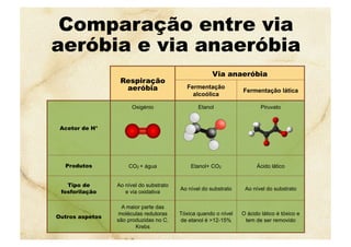 Comparação entre via
aeróbia e via anaeróbia
Respiração
aeróbia
Via anaeróbia
Fermentação
alcoólica
Fermentação lática
Acetor de H+
Oxigénio Etanol Piruvato
Produtos CO2 + água Etanol+ CO2 Ácido lático
Tipo de
fosforilação
Ao nível do substrato
e via oxidativa
Ao nível do substrato Ao nível do substrato
Outros aspetos
A maior parte das
moléculas redutoras
são produzidas no C.
Krebs
Tóxica quando o nível
de etanol é >12-15%
O ácido lático é tóxico e
tem de ser removido
 