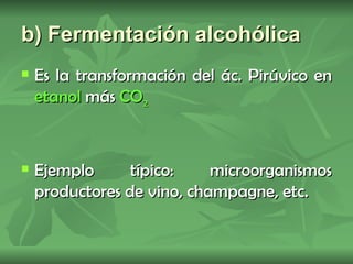 b) Fermentación alcohólica
   Es la transformación del ác. Pirúvico en
    etanol más CO2


   Ejemplo      típico:    microorganismos
    productores de vino, champagne, etc.
 