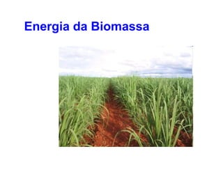Energia da Biomassa
 
