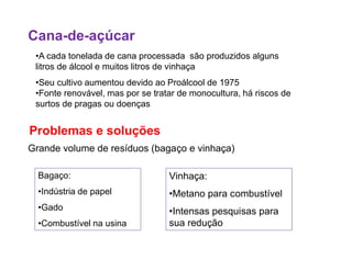 Cana-de-açúcar
•A cada tonelada de cana processada são produzidos alguns
litros de álcool e muitos litros de vinhaça
•Seu cultivo aumentou devido ao Proálcool de 1975
•Fonte renovável, mas por se tratar de monocultura, há riscos de
surtos de pragas ou doenças
Problemas e soluçõesProblemas e soluções
Grande volume de resíduos (bagaço e vinhaça)
Bagaço:
•Indústria de papel
•Gado
•Combustível na usina
Vinhaça:
•Metano para combustível
•Intensas pesquisas para
sua redução
 