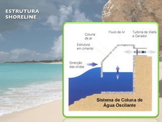 ESTRUTURA SHORELINE 