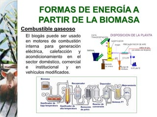 FORMAS DE ENERGÍA A
PARTIR DE LA BIOMASA
Combustible gaseoso
El biogás puede ser usado
en motores de combustión
interna para generación
eléctrica, calefacción y
acondicionamiento en el
sector doméstico, comercial
e institucional y en
vehículos modificados.
 