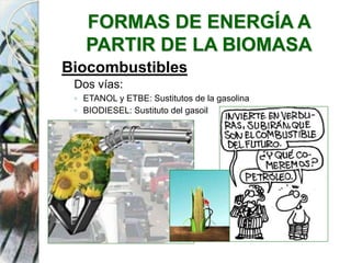FORMAS DE ENERGÍA A
PARTIR DE LA BIOMASA
Biocombustibles
Dos vías:
◦ ETANOL y ETBE: Sustitutos de la gasolina
◦ BIODIESEL: Sustituto del gasoil
 