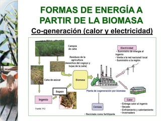 FORMAS DE ENERGÍA A
PARTIR DE LA BIOMASA
Co-generación (calor y electricidad)
 