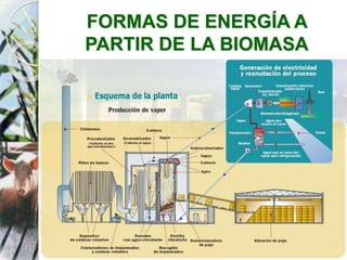 FORMAS DE ENERGÍA A
PARTIR DE LA BIOMASA
 