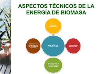 ASPECTOS TÉCNICOS DE LA
ENERGÍA DE BIOMASA
POLÍTICOS
POLÍTICA
ENERGÉTICA.
LEGISLACIÓN
ENERGÉTICA.
INVESTIGACIÓN Y
DESARROLLO DE
TECNOLOGÍAS.
EDUCACIÓN Y
CAPACITACIÓN
DE RECURSOS
HUMANOS.
 