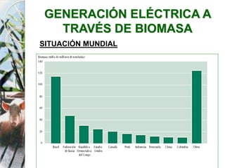 GENERACIÓN ELÉCTRICA A
TRAVÉS DE BIOMASA
SITUACIÓN MUNDIAL
 