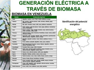 GENERACIÓN ELÉCTRICA A
TRAVÉS DE BIOMASA
BIOMASA EN VENEZUELA
Identificación del potencial
energético
Estado Producción Agrícola
Zulia Algodón, cambur, coco, fríjol, melón, plátano y sorgo.
Táchira Ajo, cambur, caña de azúcar, café, caraota, cebolla, papa,
plátano y tomate.
Mérida Ajo, apio, caraota, cacao, café, yuca, plátano, zanahoria.
Trujillo Café, cambur, caña de azúcar, maíz, papa, plátano, remolacha,
yuca y champiñón.
Lara Papas, cambur, sisal, cebolla, tomate, uvas, caña de azúcar,
arroz, caraotas, piña y café.
Yaracuy Caña de azúcar, maíz, bananos, hortalizas, cacao, cocos, palma
africana y frutas.
Aragua Aguacate, café, caraota, cebolla, maíz, pimentón, quinchoncho,
caña de azúcar, algodón, cacao y sorgo.
Barinas Algodón, ajonjolí, cambur, maíz, ñame y plátano. Arroz y
Sorgo.
Cojedes Arroz, tabaco, ajonjolí, algodón, maíz, yuca, madera.
Carabobo Maíz leguminosa de grano, cacao, tabaco, algodón, caña de
azúcar, hortalizas, coco.
Anzoátegui Forestal, Maíz, sorgo, Café y forestal.
Monagas Café, maíz, naranja, palma aceitera, sorgo, tomate y yuca,
caña de azúcar, algodón, cacao, maní.
Sucre Cacao, coco, caña de azúcar, café, yuca, algodón.
Apure Algodón, frijoles, cambur, maíz, arroz y yuca.
Falcón Caña de azúcar, coco, maíz, melón, ñame, ocumo y sorgo.
Miranda Cacao, frutas, flores, hortalizas, cereales.
Guarico Arroz, caraota, fríjol, maíz, mango, patilla, sorgo y tomate.
caña de azúcar, algodón, plátanos.
Portuguesa Arroz, café, algodón, maíz, ajonjolí, caña de azúcar, caraota,
patilla sorgo y forestales.
Delta Amacuro Arroz, maíz, coco, plátano, yuca, piña, palmito.
 