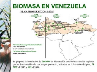 BIOMASA EN VENEZUELA
PLAN PROPUESTO 2010-2015
ZONA
OCCIDENTAL 60
MW
ZONA
CENTRAL
151MW
ZONA
ORIENTAL 55
MW
Central de Biomasa Orituco 15
MW
Central de Biomasa
Tiznados 15 mw
Central de Biomasa El
Tocuyo 15 MW
Central de Biomasa
Guigue 15 MW
Central de Biomasa
Atapirire 15 MW
Central de Biomasa
Yaritagua 15 MW
Central de Biomasa
Cumanacoa 10 MW
Central de Biomasa
Uverito 15 MW
Central de Biomasa San
Sebastian 15 MW
Central de Biomasa
Portuguesa 15 MW
Central de Biomasa
Socopó 15 MW
Central de Biomasa Nueva
Bolivia 15 MW
Central de Biomasa
Motatán 15 MW
Central de Biomasa San
Carlos 15 MW
Central Azucarero La
Pastora 16 MW
Cogeneración
Central de
Biomasa Ureña
15 MW
Central de Biomasa
Zulia 15 MW
Central de Biomasa Unare
15 MW
Se propone la instalación de 266MW de Generación con biomasa en las regiones
que se han identificado con mayor potencial, ubicadas en 15 estados del país, 71
MW al 2013 y 195 al 2014.
Potencial de Residuos Agroindustriales Identificado:
412,18 MW, 3069 GWh
No se ha contabilizado el recurso forestal
Plan Nacional de Generación con Biomasa
266 MW –696,49 MMUS$
 