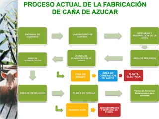 ENTRADA DE
CAMIONES
LABORATORIO DE
CONTROL
DESCARGA Y
PREPARACIÓN DE LA
CAÑA
ÁREA DE MOLIENDA
PLANTA DE
CLARIFICACIÓN DE
JUGOS
ÁREA DE
FERMENTACIÓN
ÁREA DE DESTILACIÓN PLANTA DE TORULA
Planta de Alimentos
Balanceados para
animales
CASA DE
BAGAZO
ÁREA DE
GENERACIÓN
DE VAPOR
PLANTA
ELÉCTRICA
DESHIDRATACIÓN
ALMACENAMIENTO
Y DESPACHO DE
ETANOL
PROCESO ACTUAL DE LA FABRICACIÓN
DE CAÑA DE AZUCAR
 