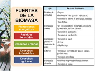 FUENTES
DE LA
BIOMASA
Plantaciones
energéticas
Residuos
forestales
Desechos urbanos
Desechos
industriales
Desechos
agrícolas
 