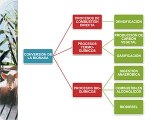 CONVERSIÓN DE
LA BIOMASA
PROCESOS DE
COMBUSTIÓN
DIRECTA
DENSIFICACIÓN
PROCESOS
TERMO-
QUÍMICOS
PRODUCCIÓN DE
CARBÓN
VEGETAL
GASIFICACIÓN
PROCESOS BIO-
QUÍMICOS
DIGESTIÓN
ANAERÓBICA
COMBUSTIBLES
ALCOHÓLICOS
BIODIESEL
 
