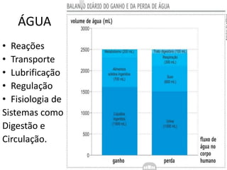 ÁGUA
• Reações
• Transporte
• Lubrificação
• Regulação
• Fisiologia de
Sistemas como
Digestão e
Circulação.
 