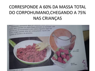 CORRESPONDE A 60% DA MASSA TOTAL
DO CORPOHUMANO,CHEGANDO A 75%
NAS CRIANÇAS
 